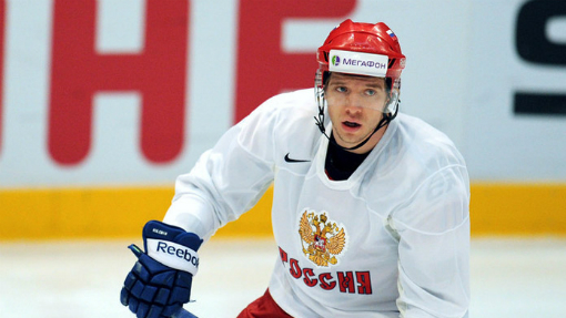 Николай Кулемин