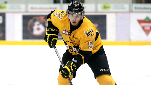 Иван Проворов