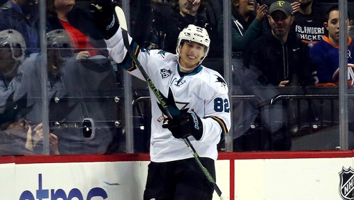 Николай Голдобин