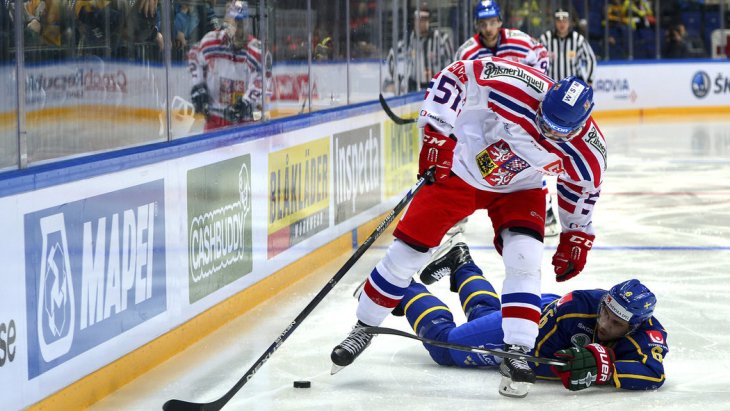 Для шведов игра не имела турнирного значения