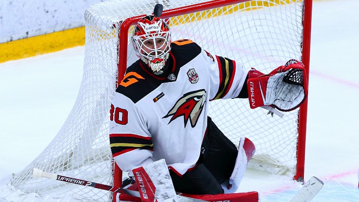 Игрок «Авангарда»