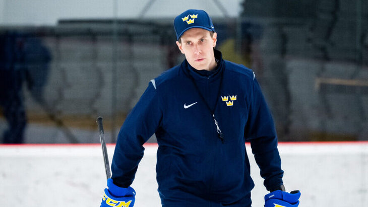 Йоэль Роннмарк