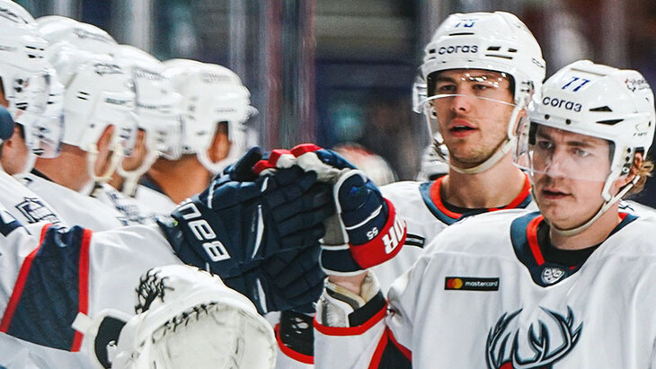 Хоккеисты «Торпедо»