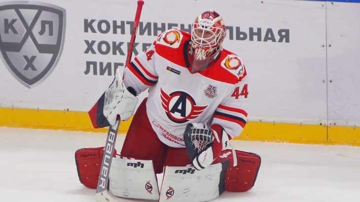 Дмитрий Шикин