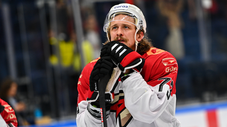 Либор Шулак