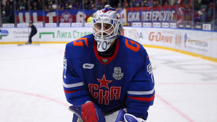 Дмитрий Николаев