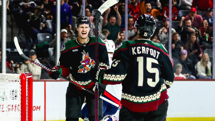 «Аризона» забросила шесть шайб в ворота «Вашингтона»