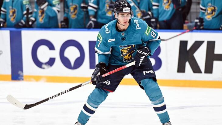 Тимур Хафизов