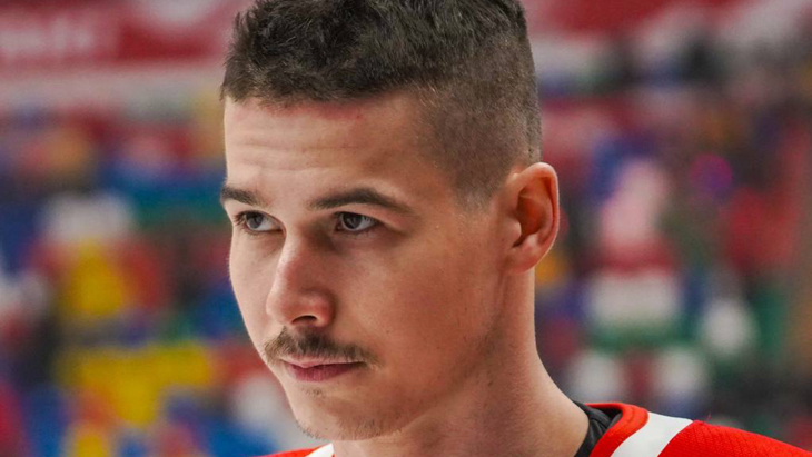 Николай Голдобин