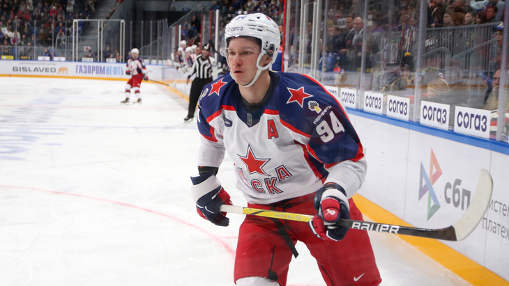 Владислав Каменев