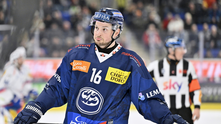 Доминик Цвергер