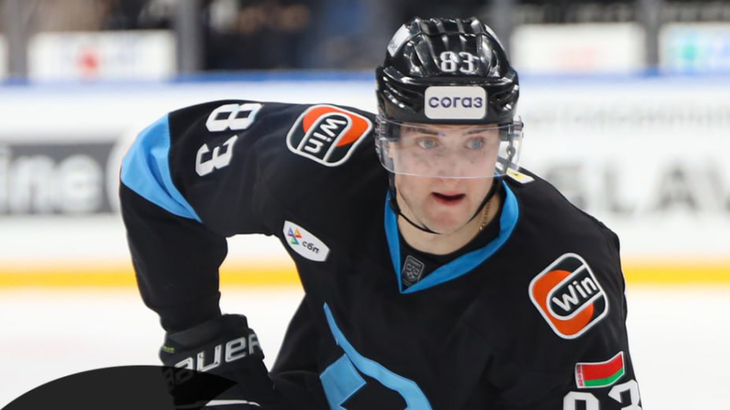 Александр Волков