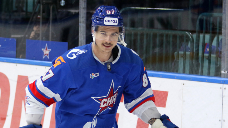 Николай Голдобин