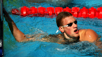 Андрей Гречин