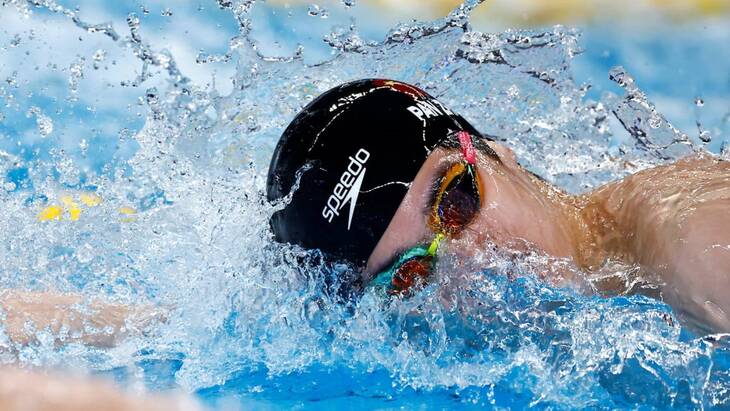 Пань Чжаньлэ Пань Чжаньлэ