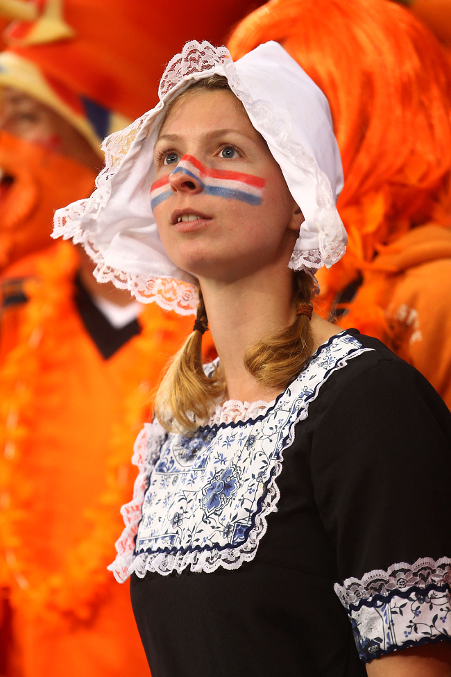 ЧМ-2010. Камерун — Нидерланды 1:2