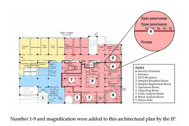 Та самая «кроличья нора»