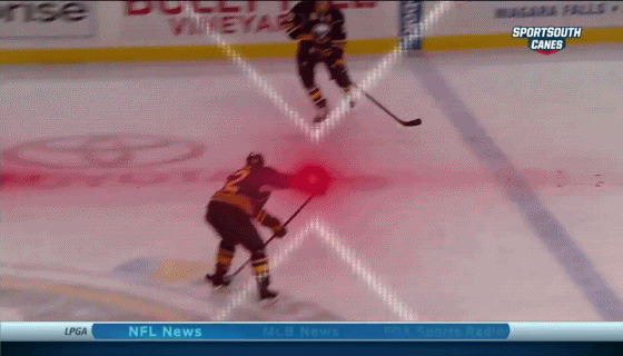 «Бэкхендер» Скиннера