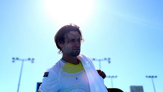 Давид Феррер