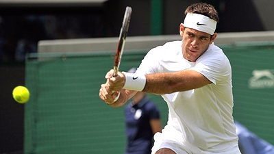 Хуан-Мартин Дель Потро