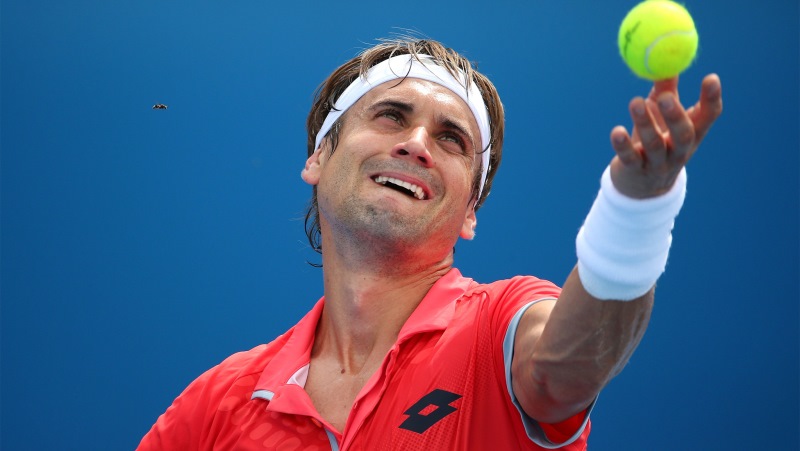 Давид Феррер