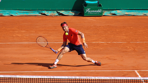 Давид Феррер