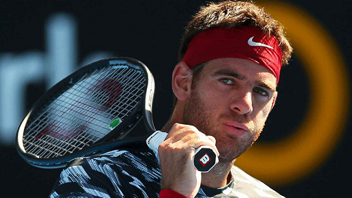 Хуан Мартин Дель Потро