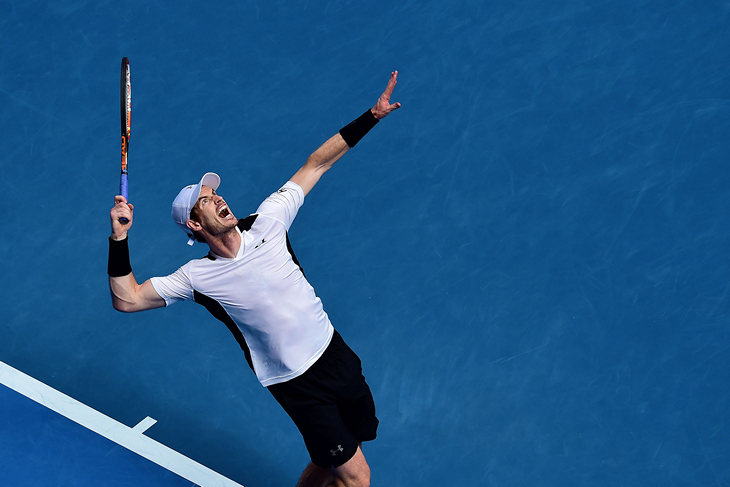 Энди Мюррей