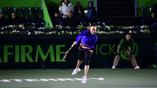 Анастасия Павлюченкова