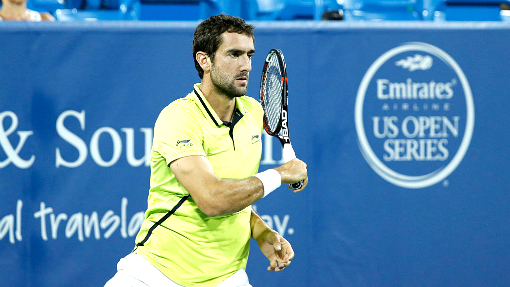 Марин Чилич