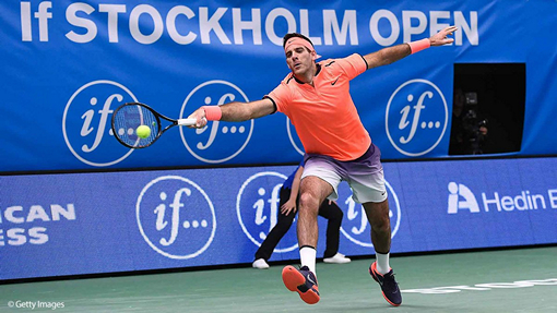 Хуан Мартин Дель Потро