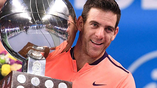 Хуан Мартин Дель Потро