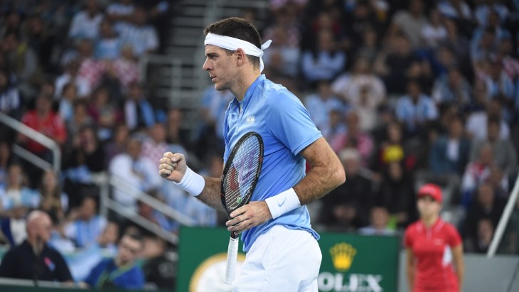 Хуан Мартин Дель Потро