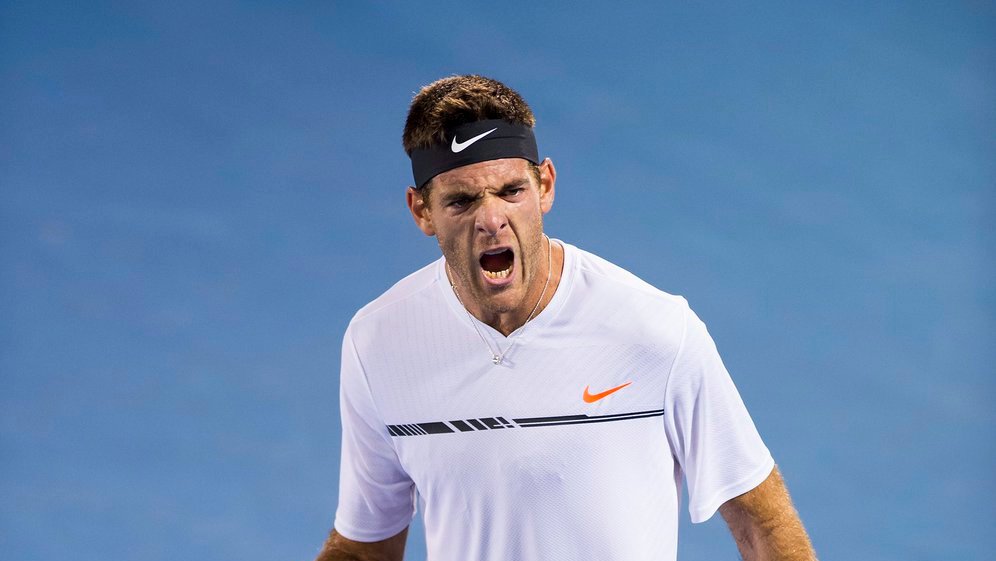 Хуан Мартин Дель Потро