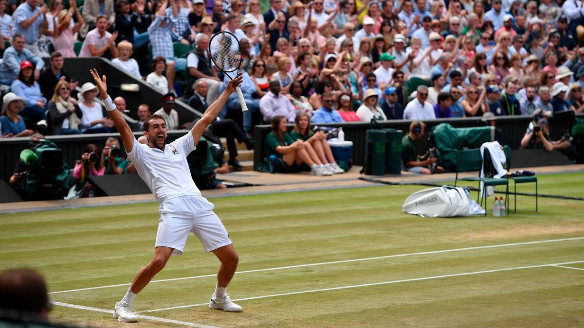 Марин Чилич