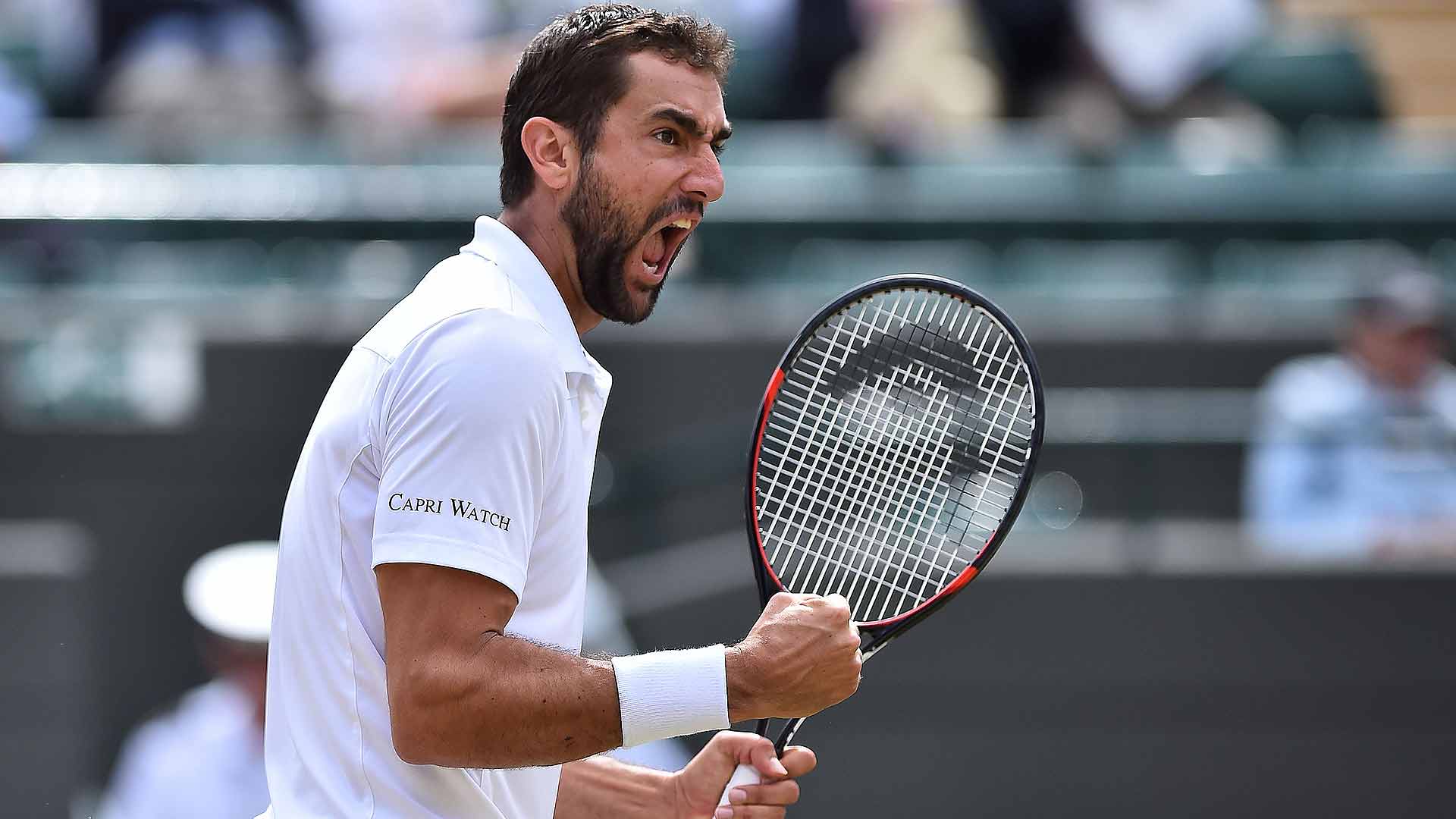 Марин Чилич