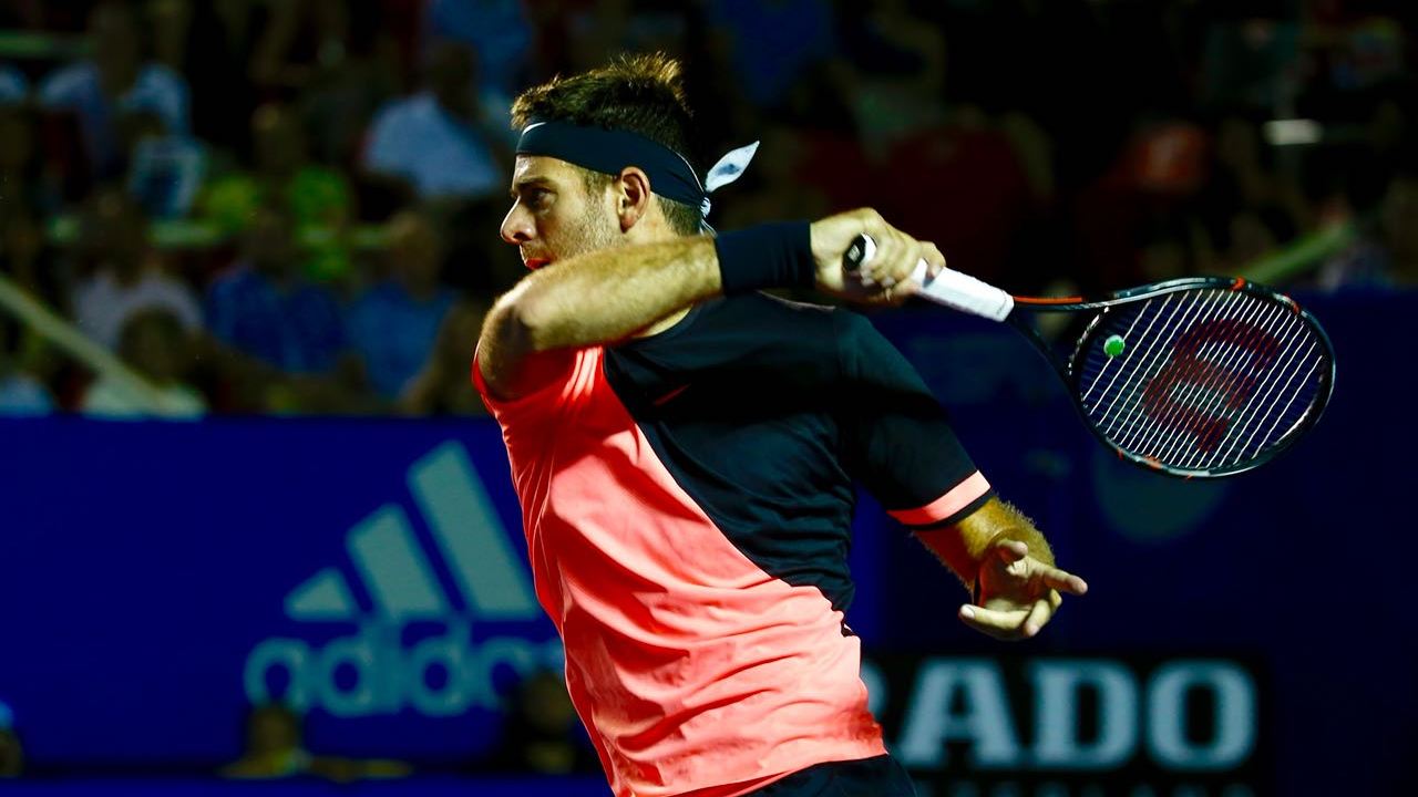 Хуан Мартин Дель Потро