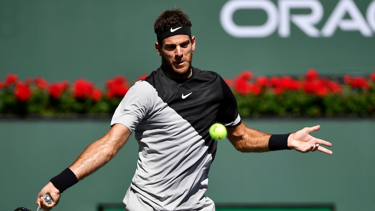 Хуан Мартин Дель Потро