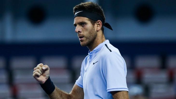 Хуан Мартин Дель Потро