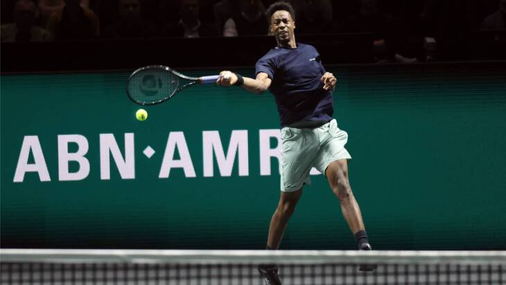 Гаэль Монфис