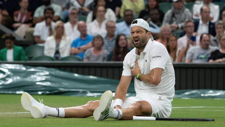 Григор Димитров (момент травмы) Григор Димитров (момент травмы)