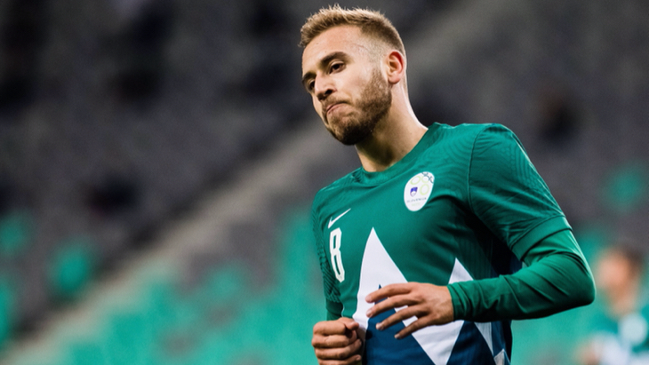 Санди Ловрич