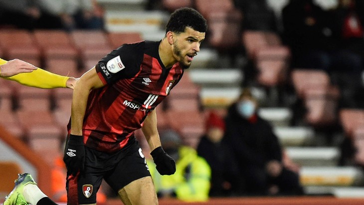 Доминик Соланке