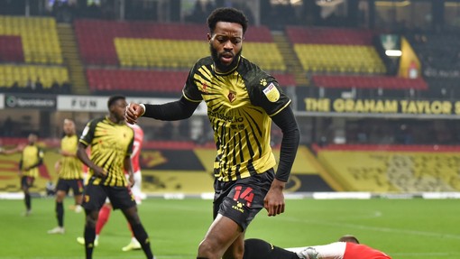 Ротерхэм Юнайтед — Уотфорд. Прогноз и ставка на матч Прогноз на матч Ротерхэм Юнайтед — Уотфорд