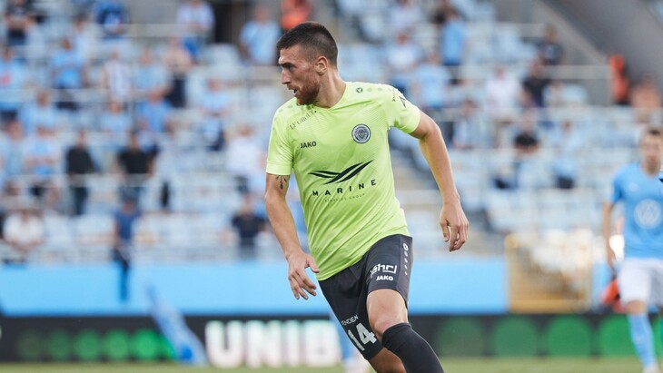 Неделько Пишчевич