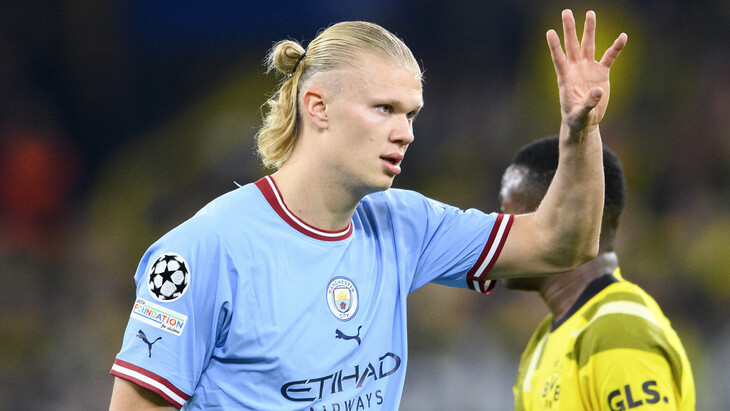 Эрлинг Холанн