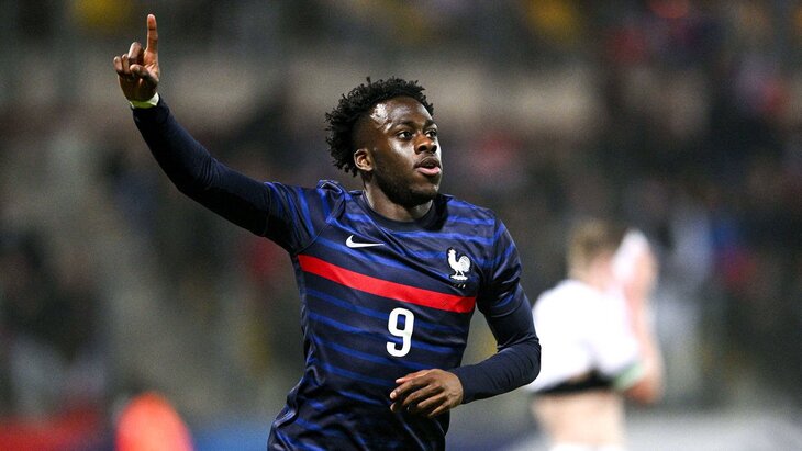 Юные «трехцветные»