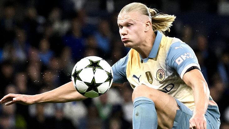 Эрлинг Холанн