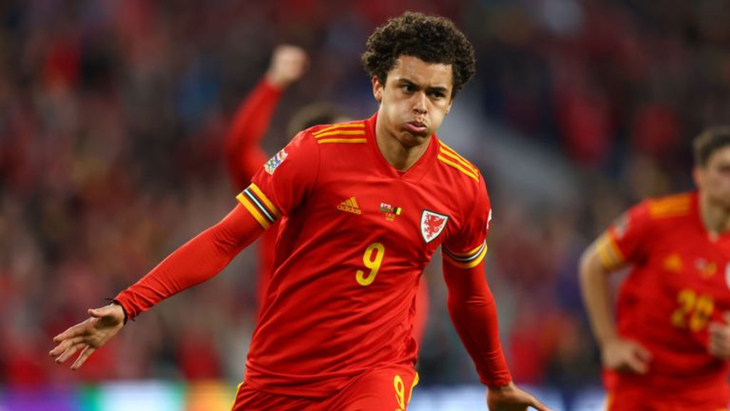 Бреннан Джонсон (Уэльс)