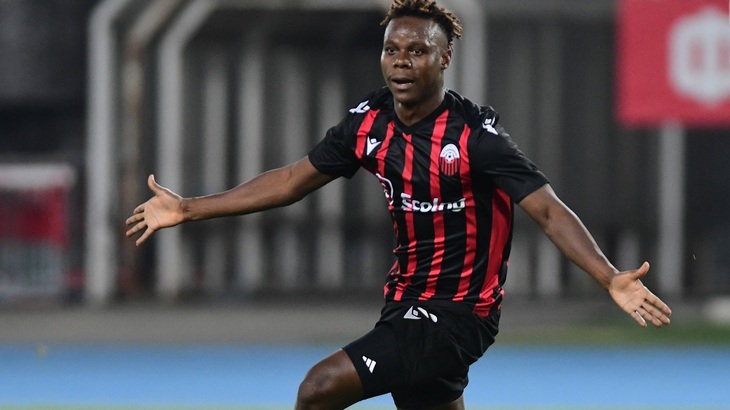 Прогноз и ставки на ФКСБ — «Шкендия» Прогноз и ставки на ФКСБ — «Шкендия»